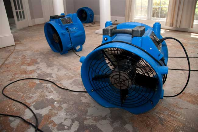 Water Restoration in Central Florida