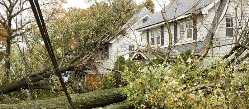 Disaster Restoration in Lakeland, FL