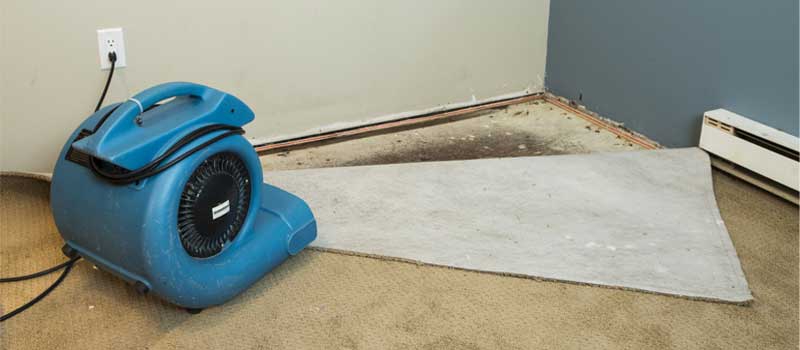 Water Removal in Lakeland, FL