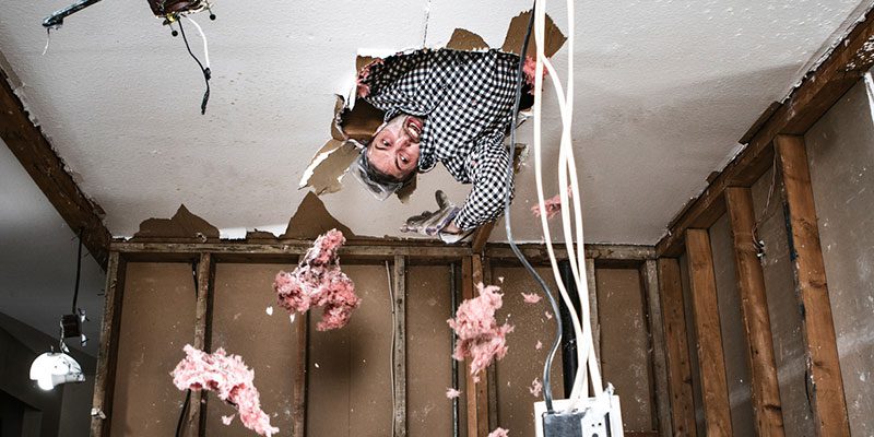 Mold removal experts know where to look to find your mold