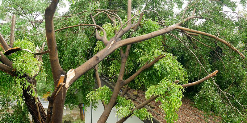 restoration services should be on your radar
