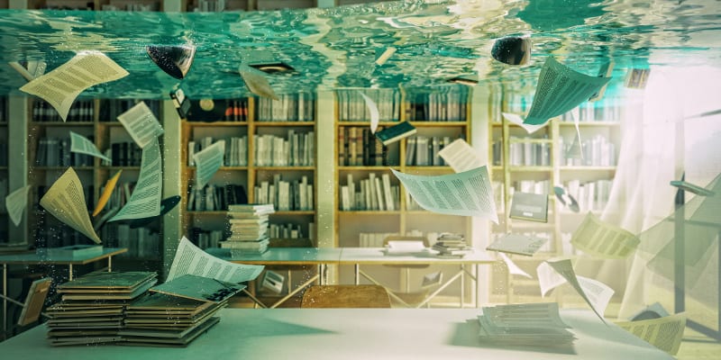 Water Damage in Plant City, Florida