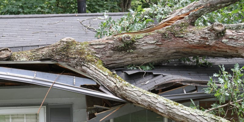 you are hiring a storm damage repair company